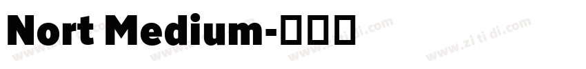 Nort Medium字体转换